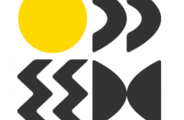 Institute for Global Development Logo